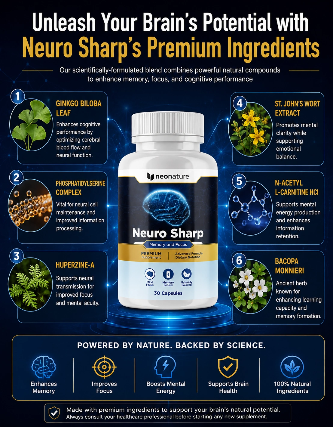 NeuroSharp ingredient overview graphic from the manufacturer